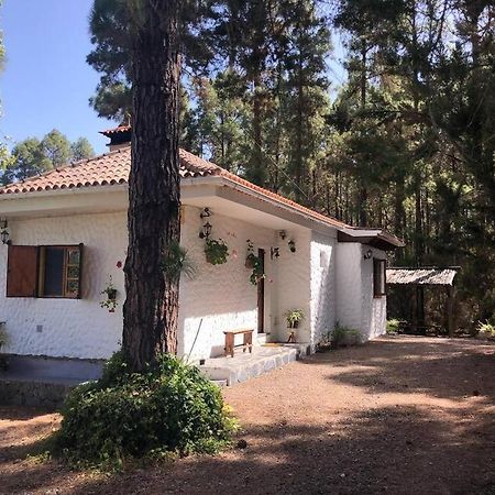 Villa Floral Garden House Icod De Los Vinos Exterior foto